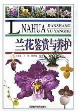 兰花鉴赏与养护