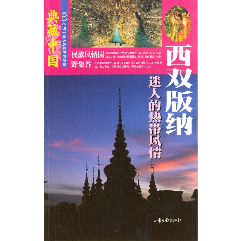 西双版纳(迷人的热带风情)