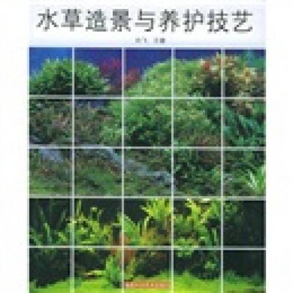 水草造景与养护技艺
