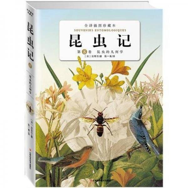 昆虫记