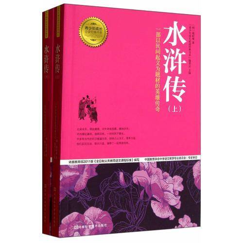 青少年成长必读经典书系：水浒传
