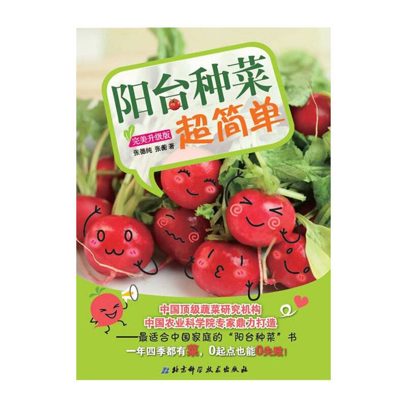 阳台种菜超简单