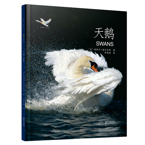 动物小百科：天鹅
