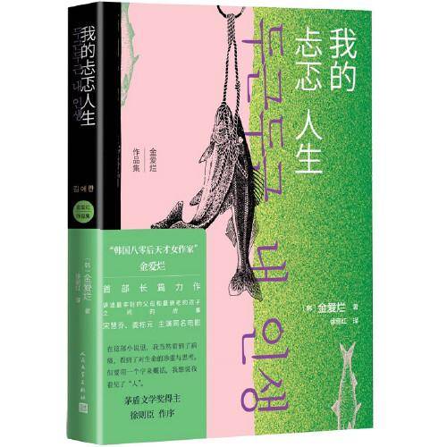 我的忐忑人生（金爱烂作品集）