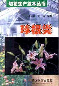 切花生产技术丛书??球根类