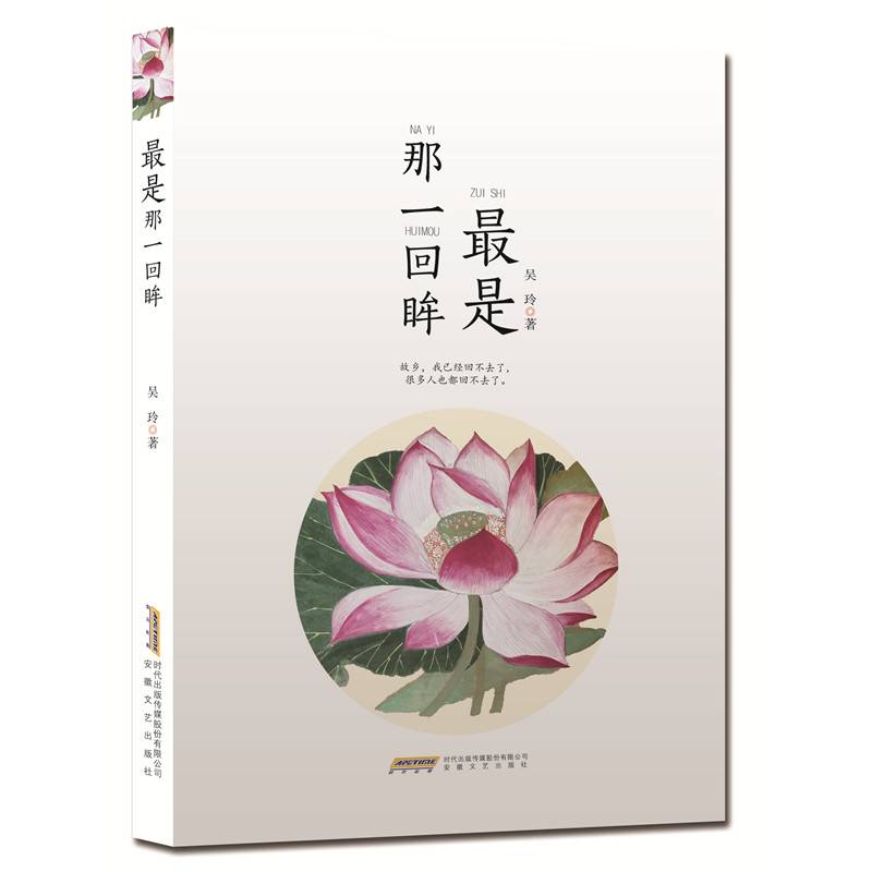 最是那一回眸