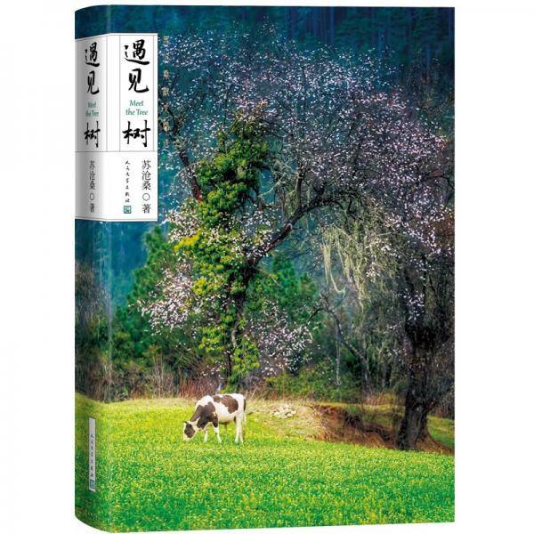 遇见树