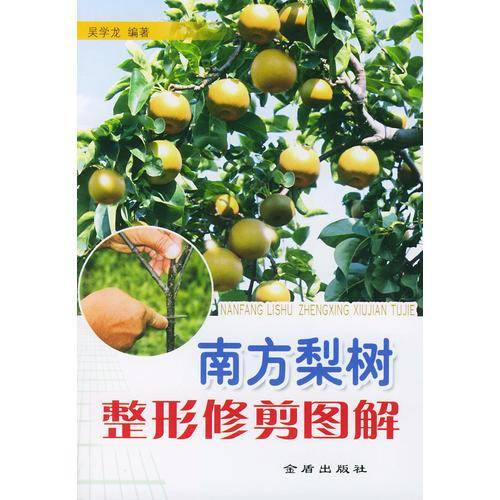 南方梨树整形修剪图解
