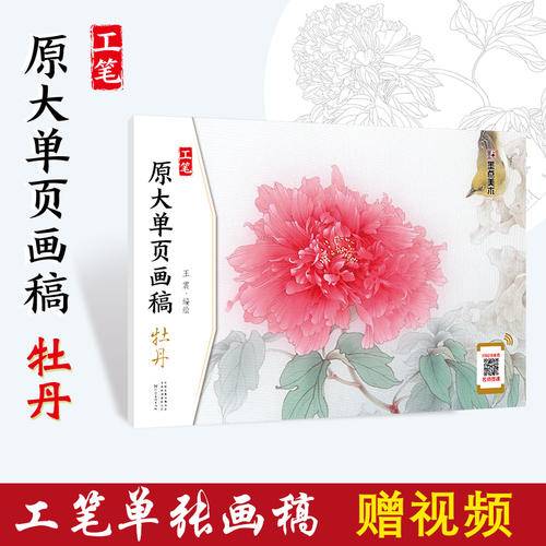 墨点美术 工笔原大单页画稿　牡丹  2019版