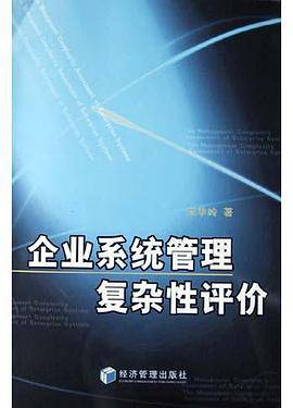 企业系统管理复杂性评价