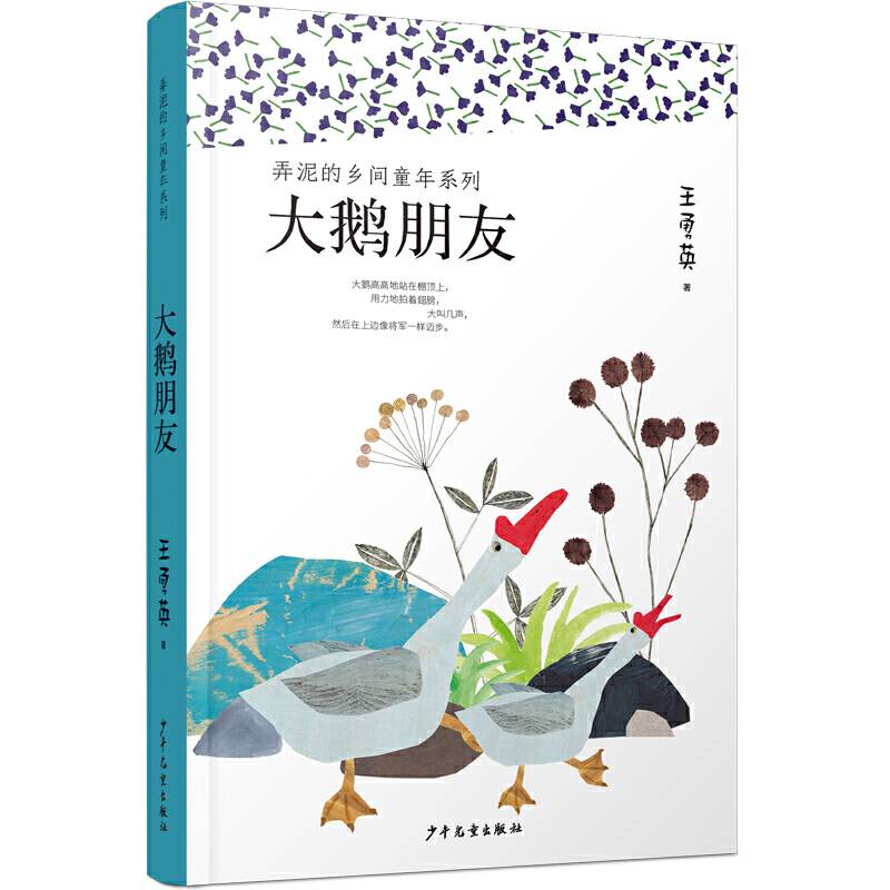 大鹅朋友