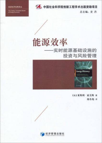 能源经济经典译丛・能源效率：实时能源基础设施的投资与风险管理