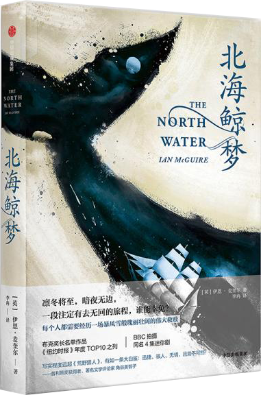 北海鲸梦