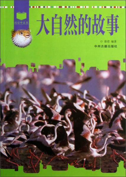 大自然的故事