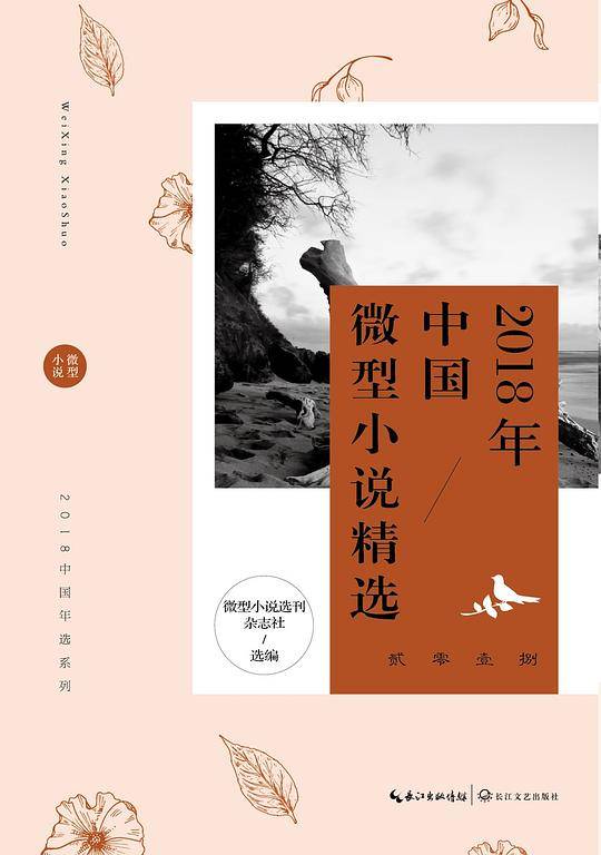 2018年中国微型小说精选
