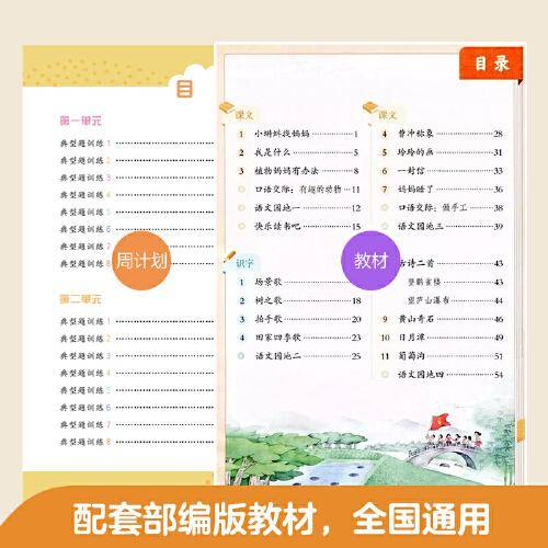 周计划：小学语文基础知识强化训练（全彩护眼版）（二年级上册）