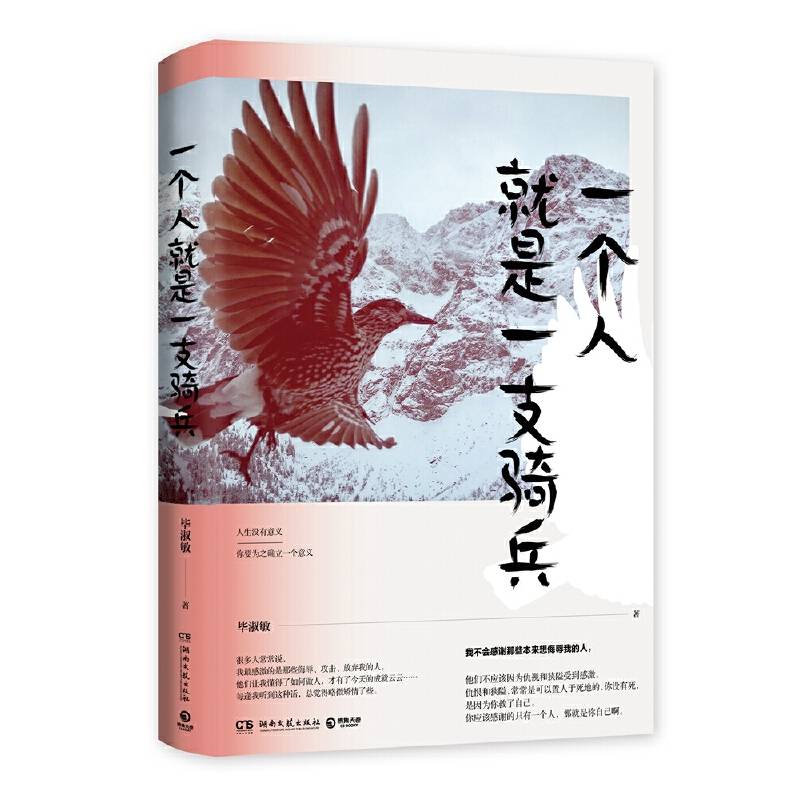 毕淑敏作品：一个人就是一支骑兵