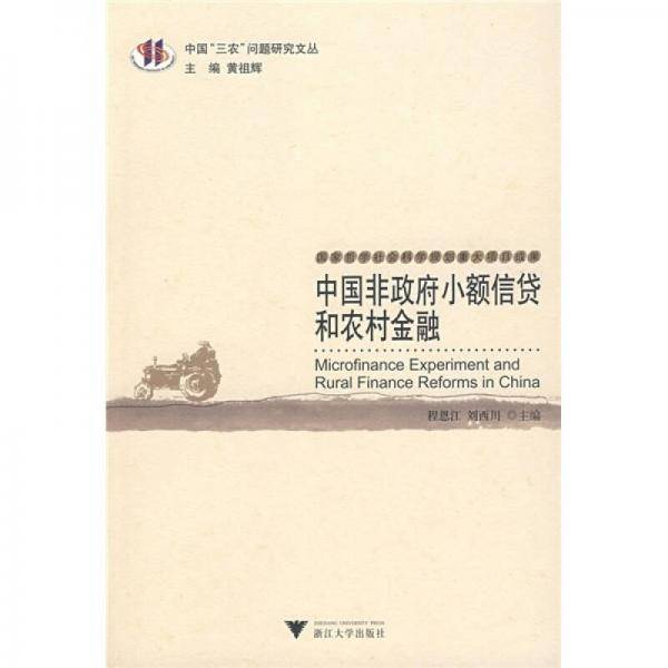 中国非政府小额信贷和农村金融