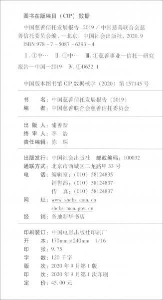 中国慈善信托发展报告（2019）