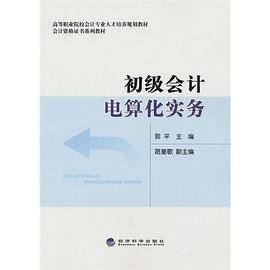 初级会计电算化实务