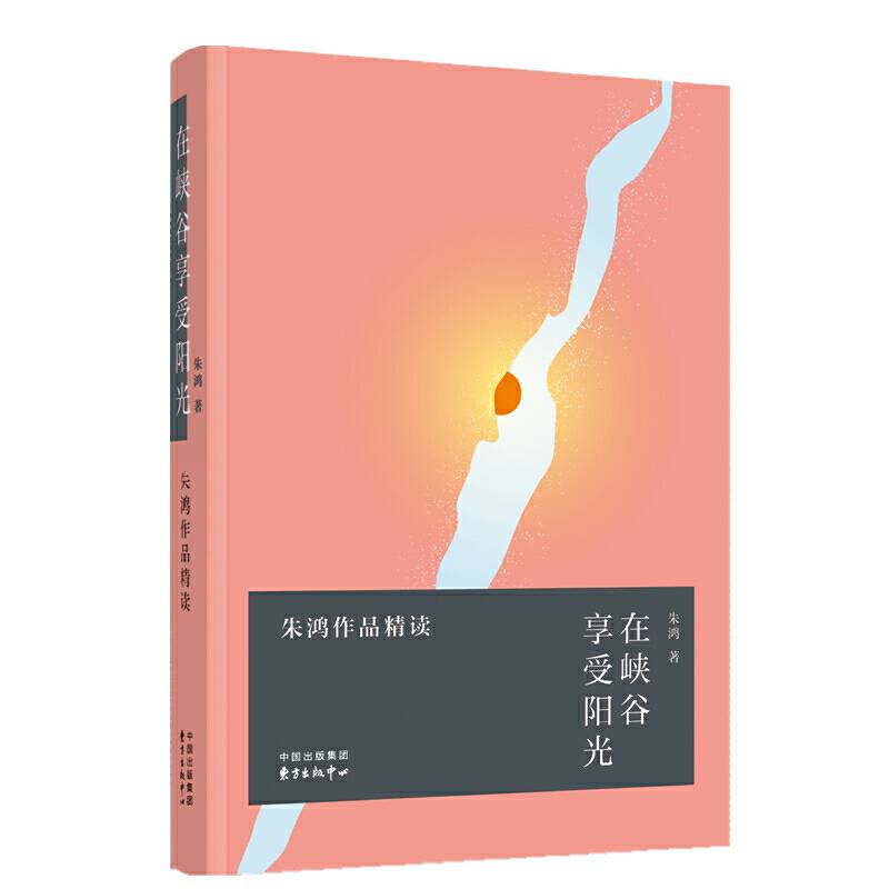 在峡谷享受阳光――朱鸿作品精读