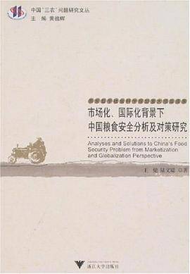 市场化、国际化背景下中国粮食安全分析及对策研究