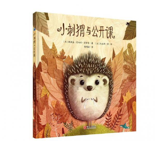 小刺猬与公开课
