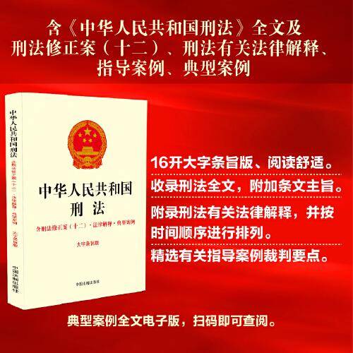 中华人民共和国刑法：含刑法修正案（十二）·法律解释·典型案例（16开）