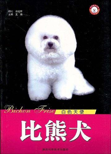 白色天使比熊犬/世界名犬系列