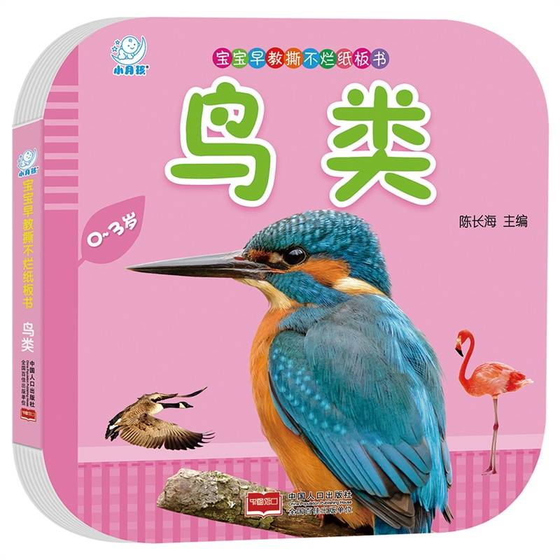 宝宝早教撕不烂纸板书・鸟类