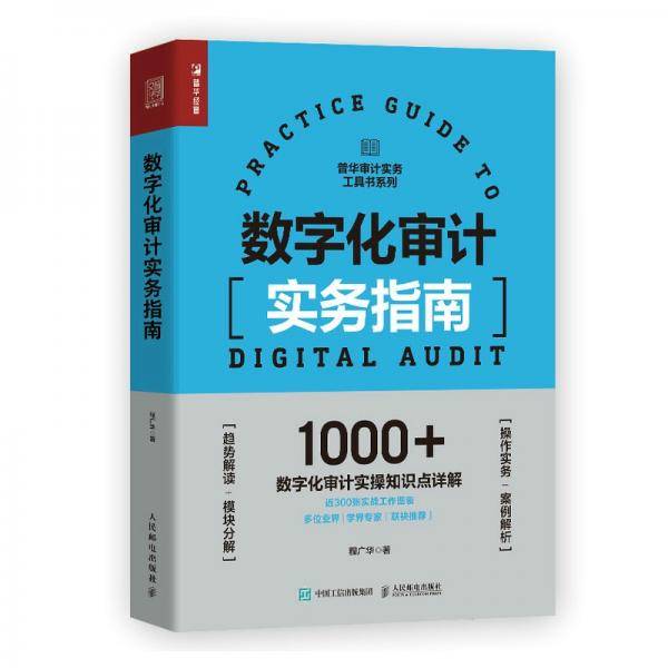 数字化审计实务指南