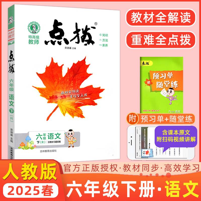 2025春特高级教师点拨六年级语文下册人教版小学6年级同步教材全解全析完全解读小学特高级教师讲解出版