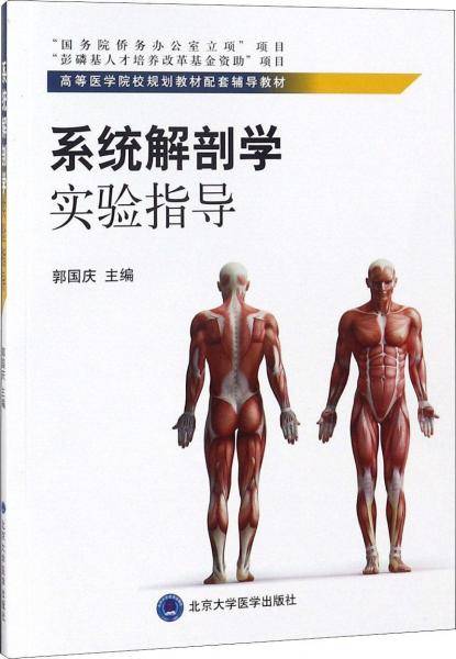 系统解剖学实验指导