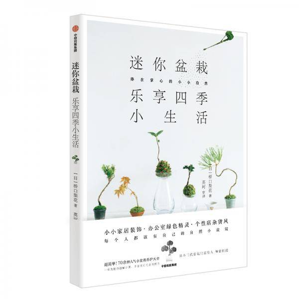 迷你盆栽，乐享四季小生活