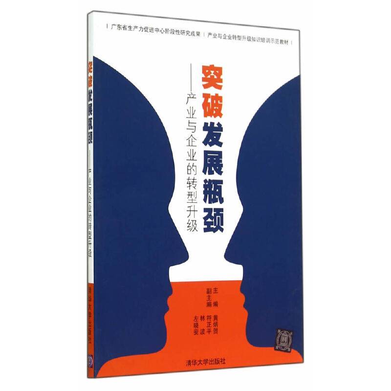 突破发展瓶颈：产业与企业的转型升级