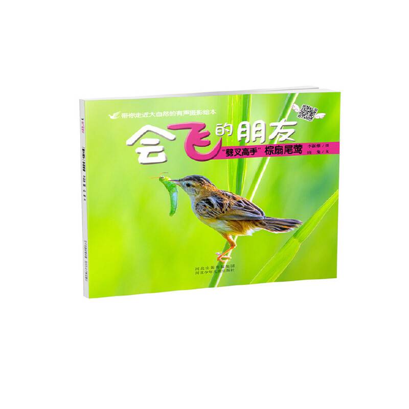 “劈叉高手”棕扇尾莺