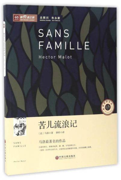 苦儿流浪记/新悦读之旅