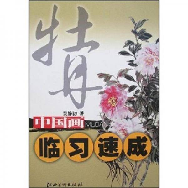 牡丹-中国画临习速成