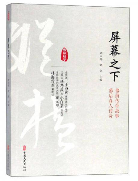 屏幕之下/纵横精华（第一辑）