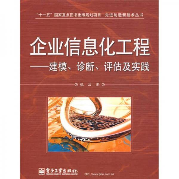 企业信息化工程