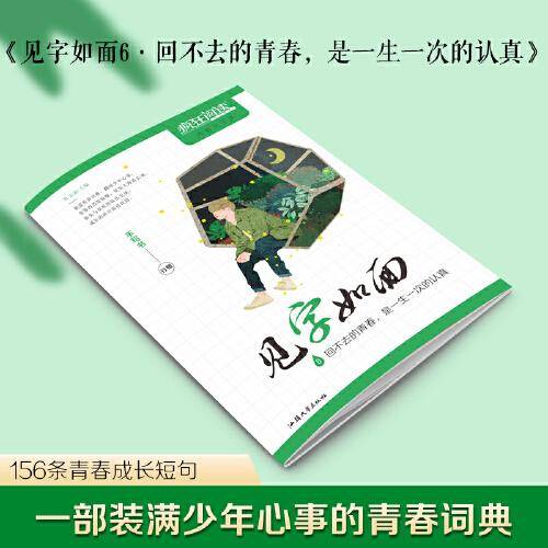 疯狂阅读 见字如面6 回不去的青春，是一生一次的认真 文艺中学生硬笔书法字帖 2023版天星教育