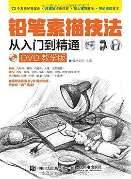 铅笔素描技法从入门到精通（DVD教学版）