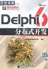 Delphi6分布式开发
