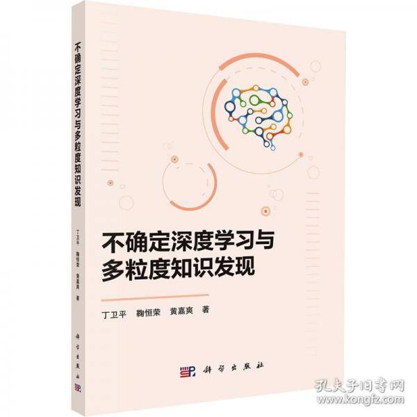 不确定深度学习与多粒度知识发现