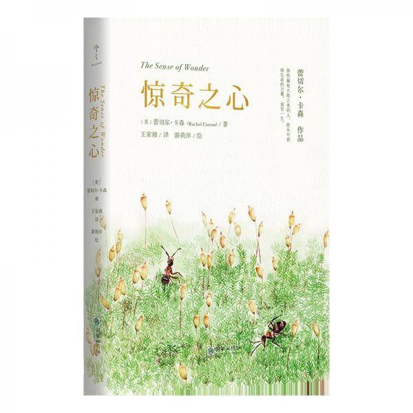 惊奇之心