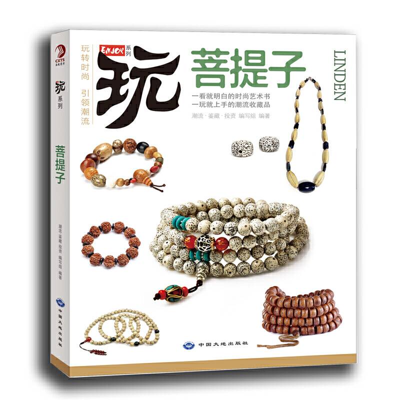 玩转时尚 菩提子：一看就明白的时尚艺术书