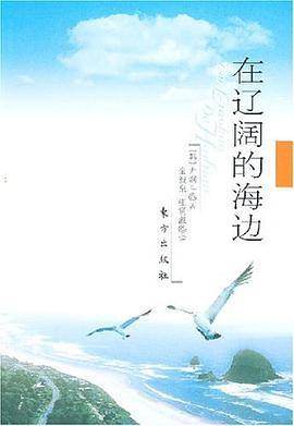在辽阔的海边