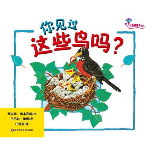 你见过这些鸟吗?