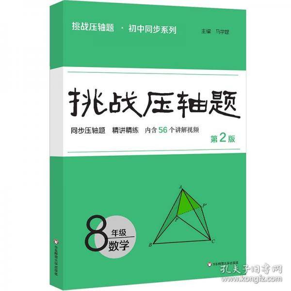 挑战压轴题八年级数学