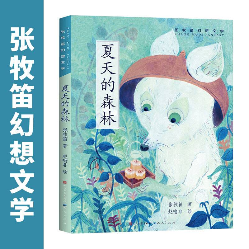夏天的森林